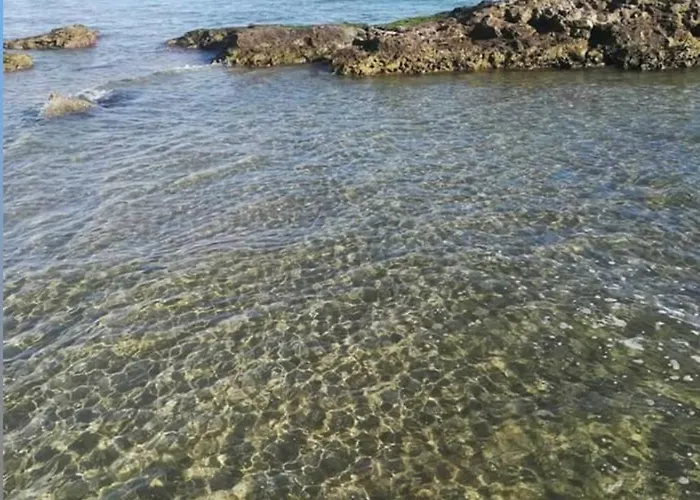 아파트 Il Giardino Segreto 안치오